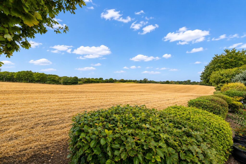 Woodstock, Knebworth